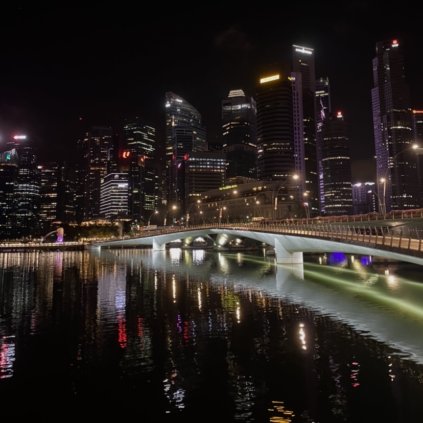 Skyline night Singapore