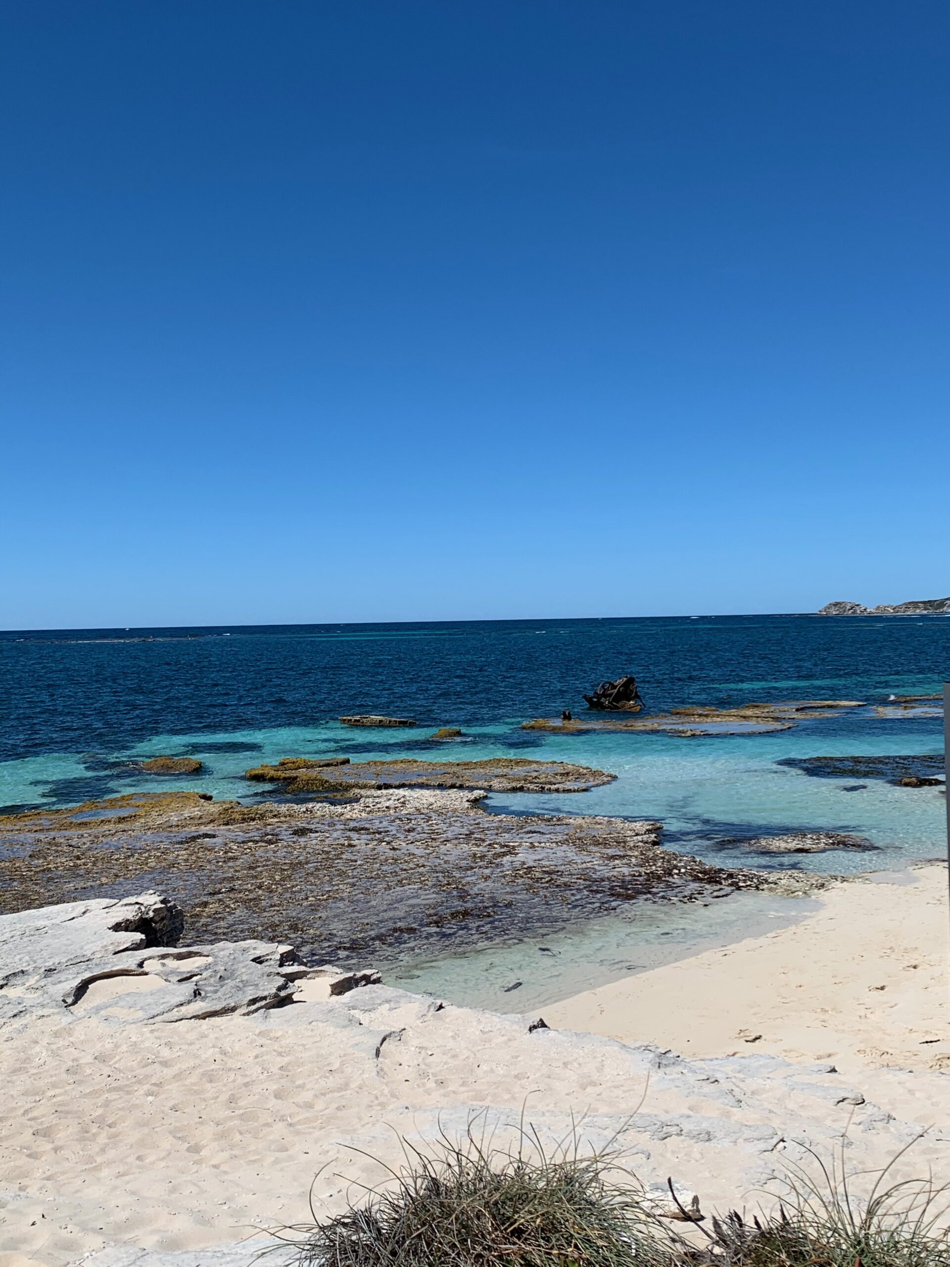Bild: Strand von Rottnest Island (Heimat der Quokka´s), Australien