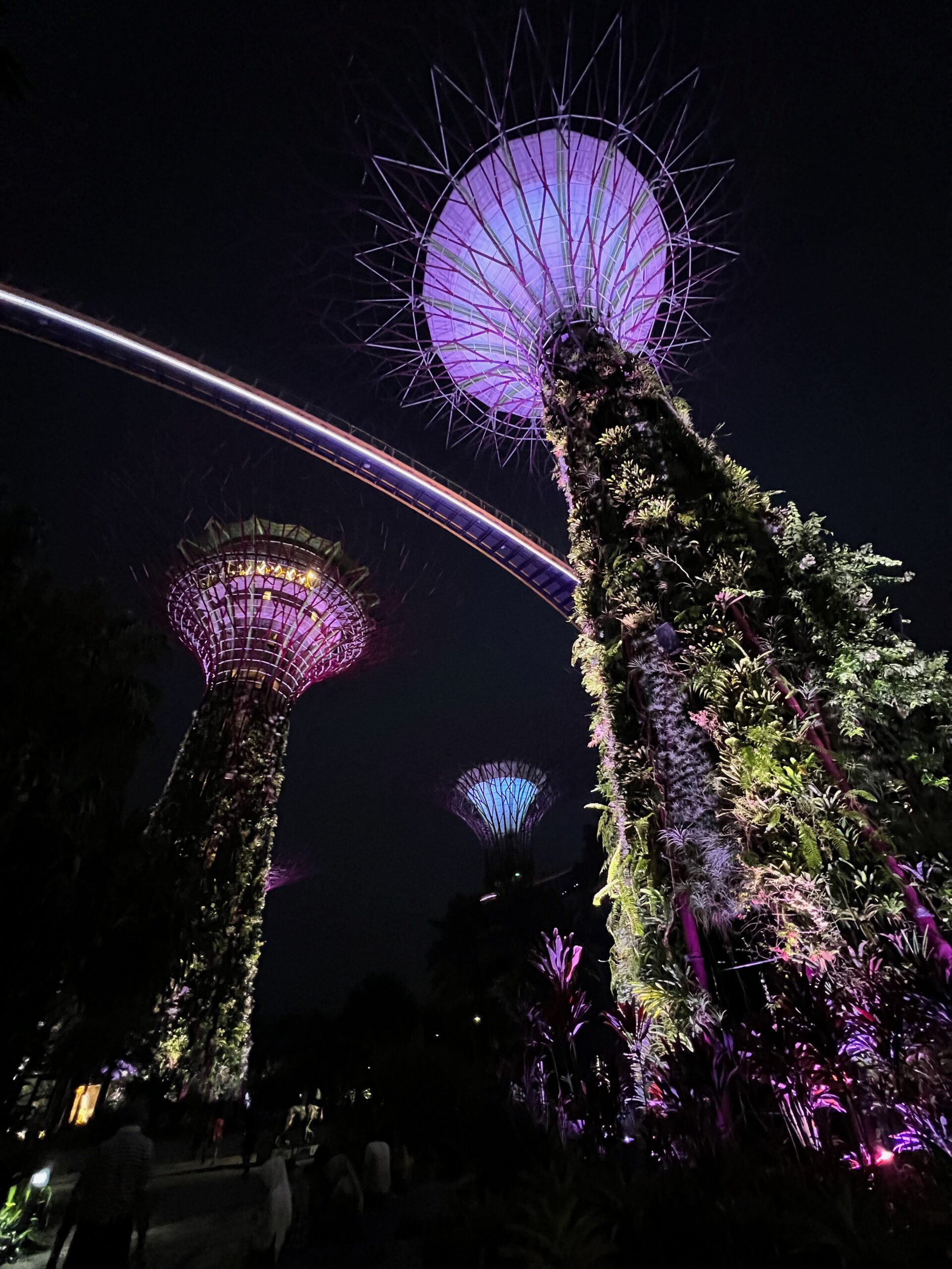 Bild: Die Lichtshow der Superberes im Gardens by the Bay, Singapur