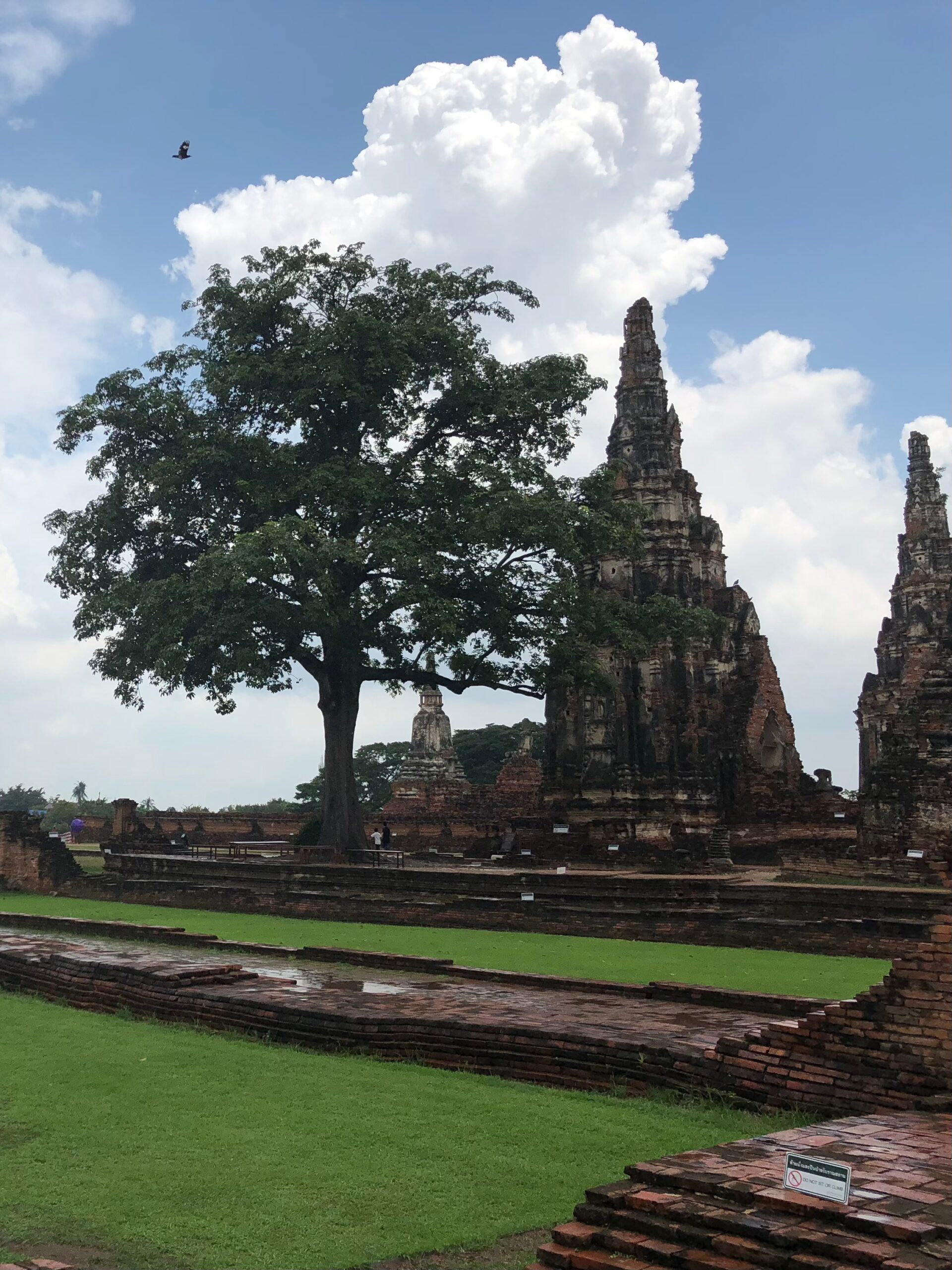 Bild: Antike Ruinen in Wat Chai Watthanaram, Thailand