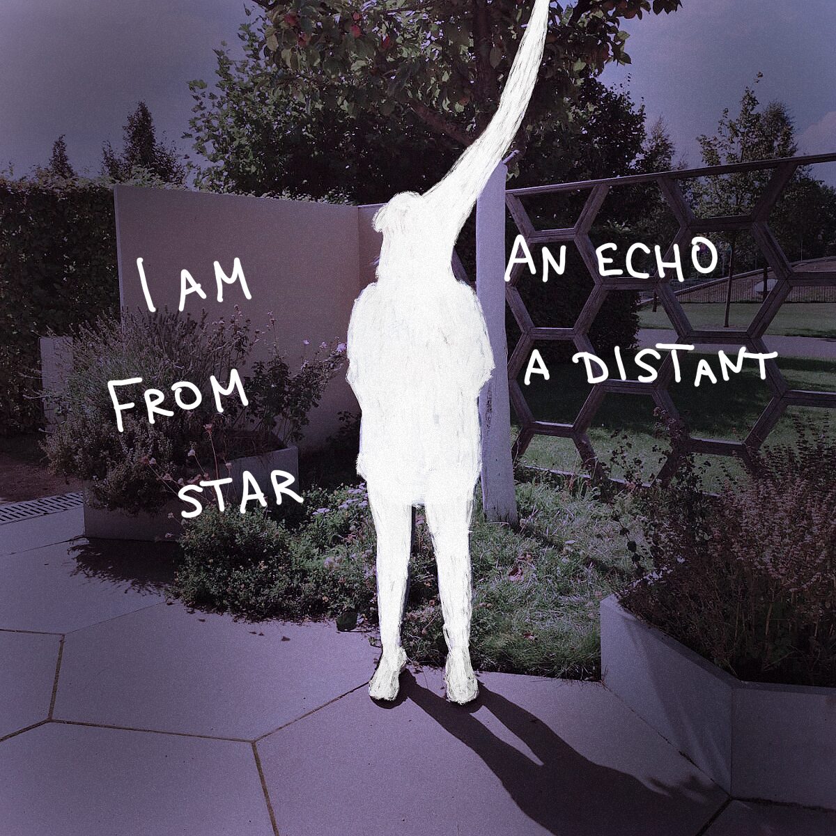 Text on the picture: I am an echo from a distant star.
