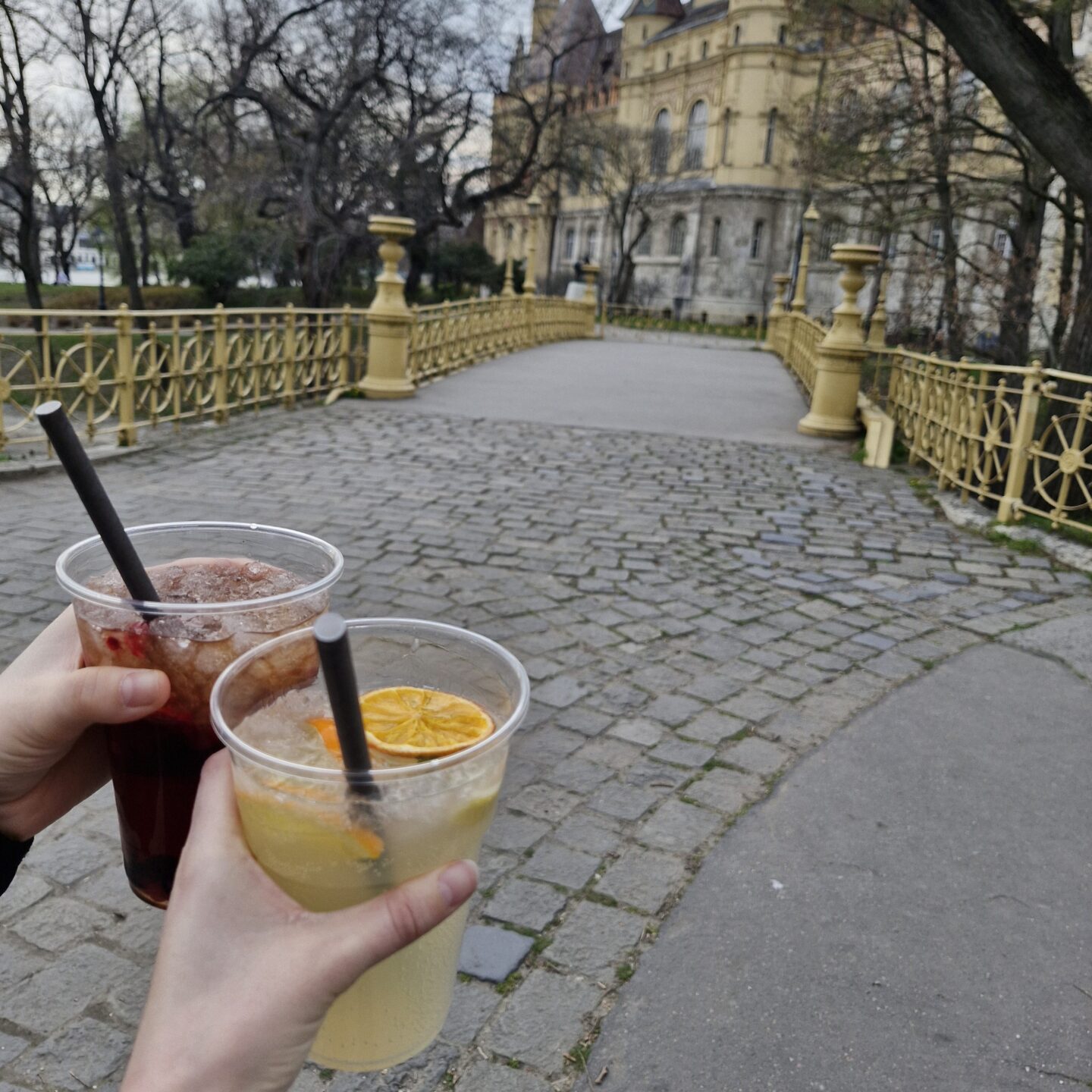 Limo und Eistee vor Vajdahunyad Castle