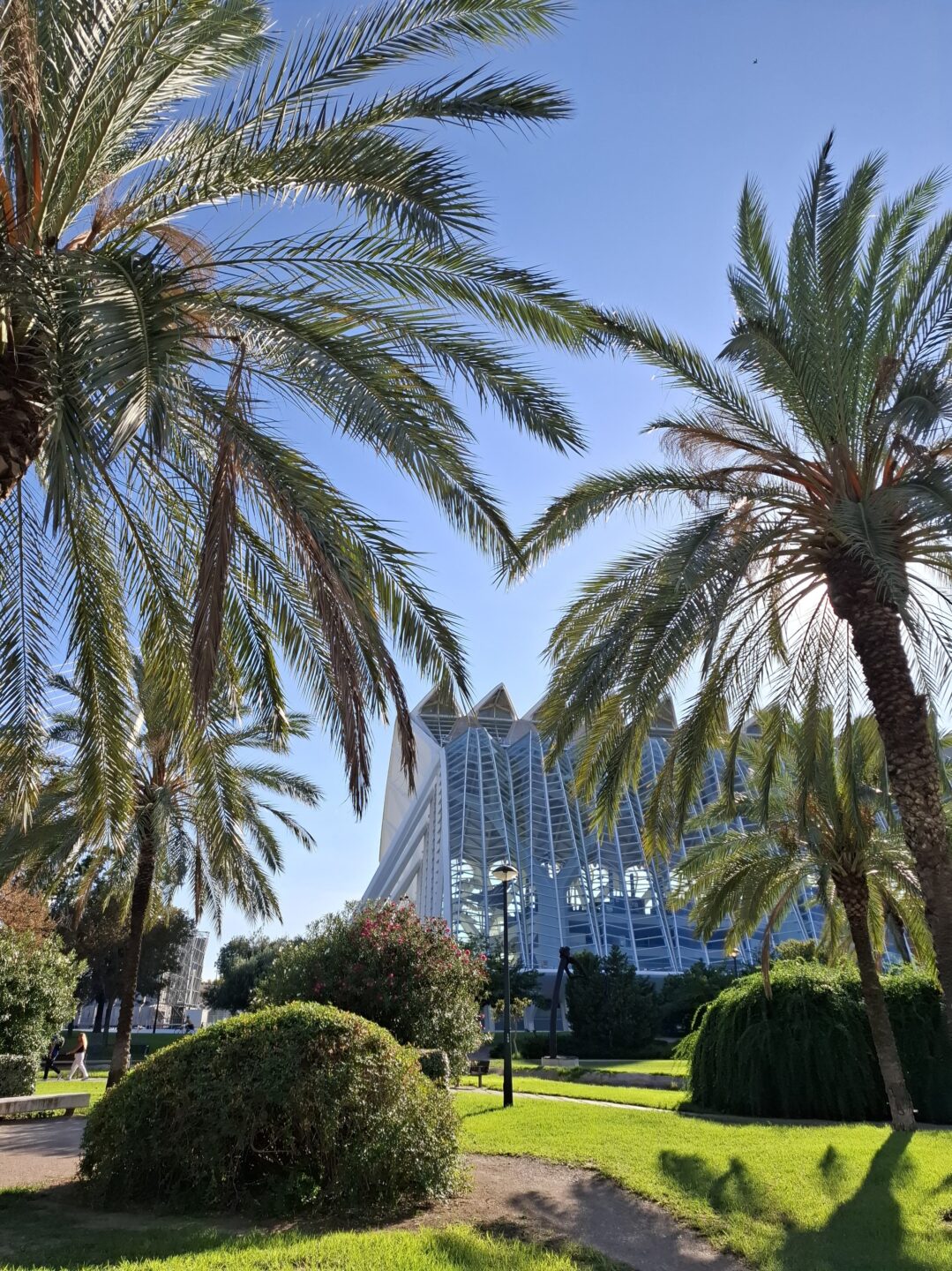 Turia Park mit Blick auf Ciudad de les Artes