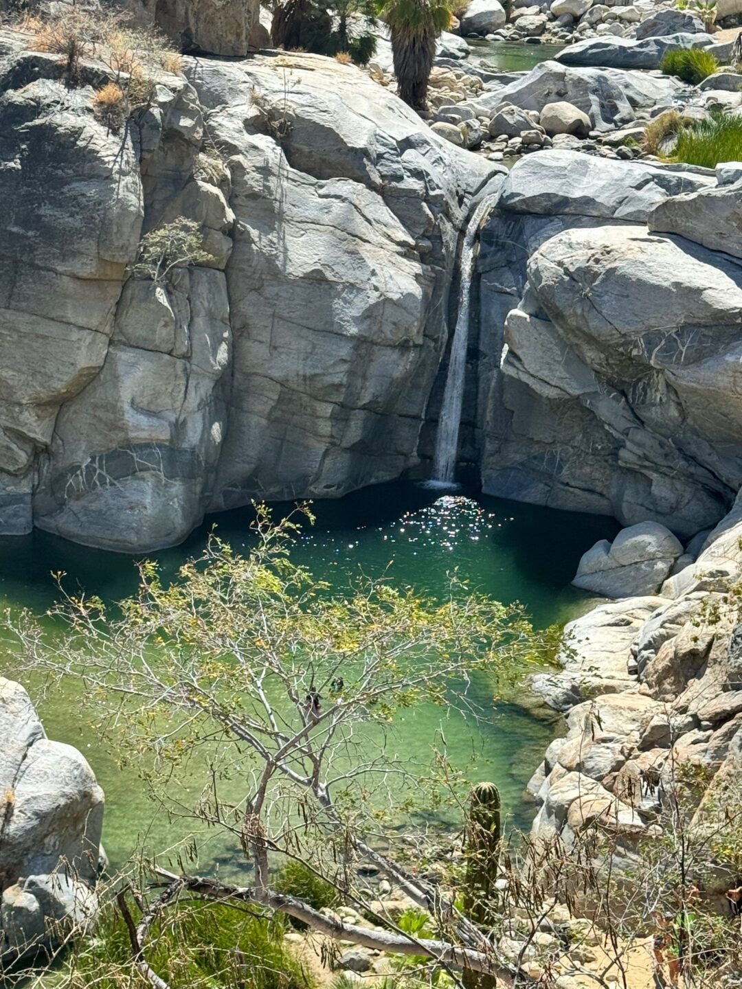 Nationalpark Baja California