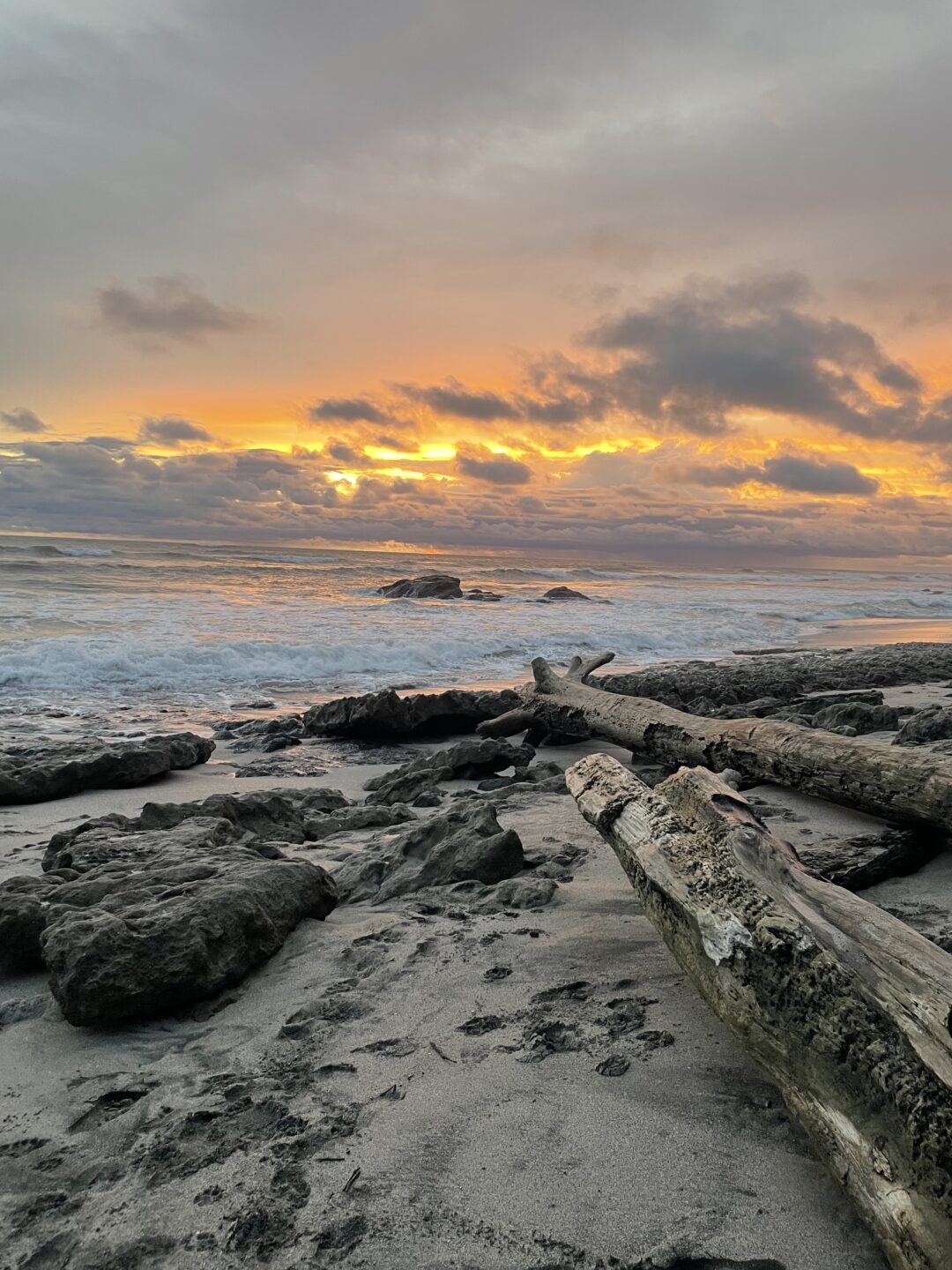 Beitragsbild “Ticos, Tacos, Todo bien – Ein Semester in Costa Rica”