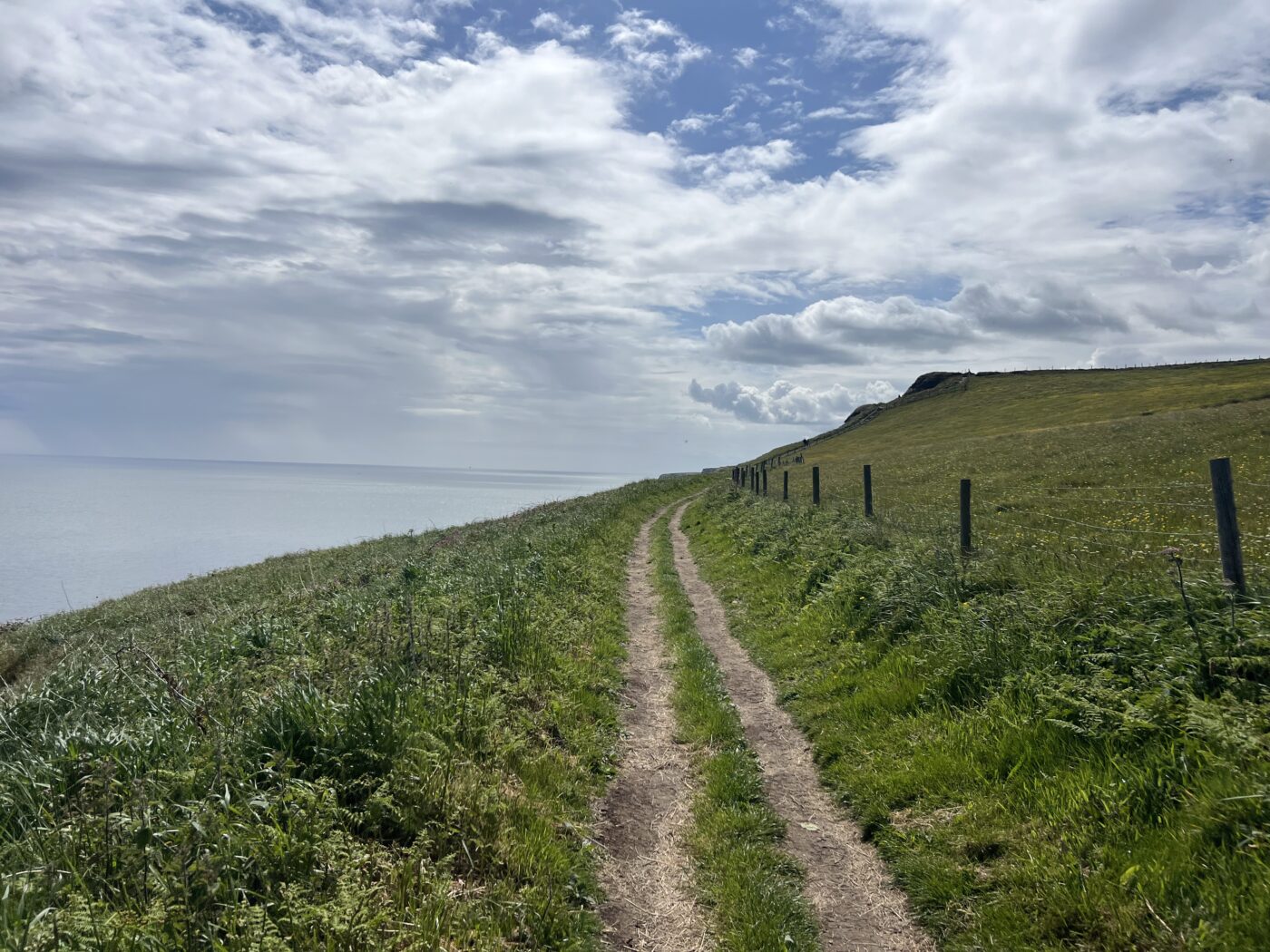 The Strange Comfort of England 1 IMG 2552 Hiking trail on the Cleveland Way