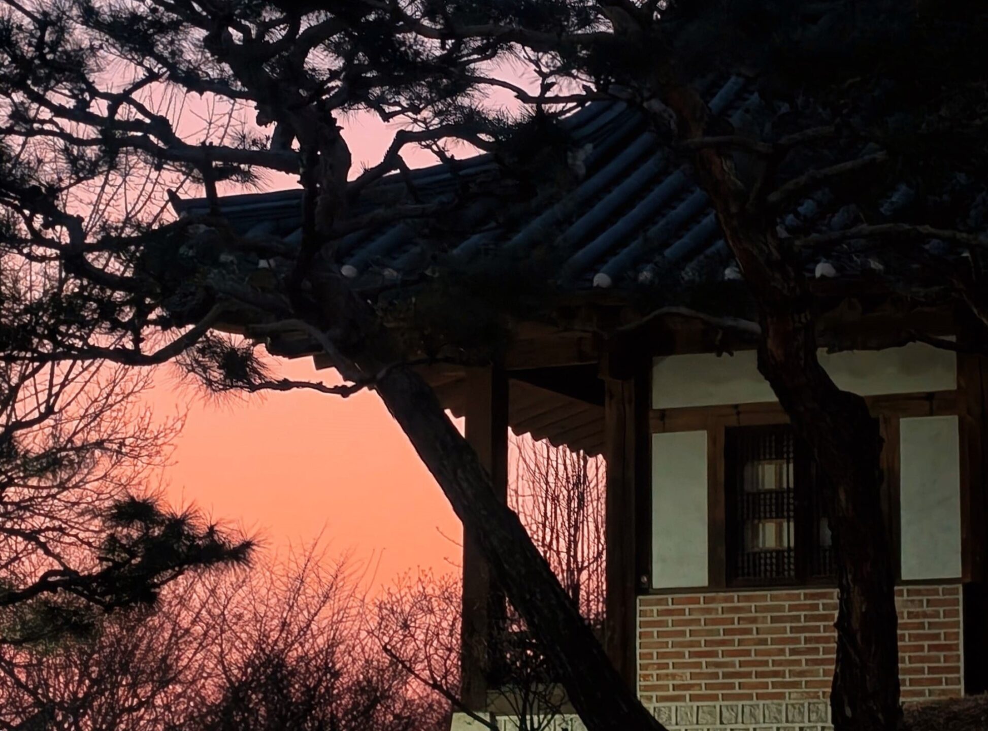 Beitragsbild “Seoul – The Place I Couldn’t Call Home”