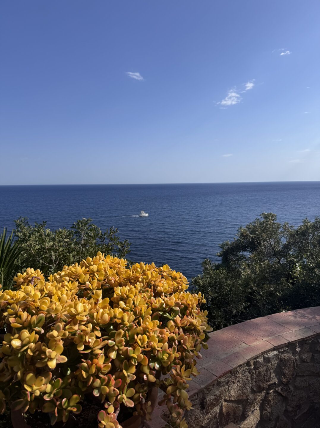 How Spain got my last nerve 5 IMG 2138 Blanes, Jardi Botanic Marimurtra