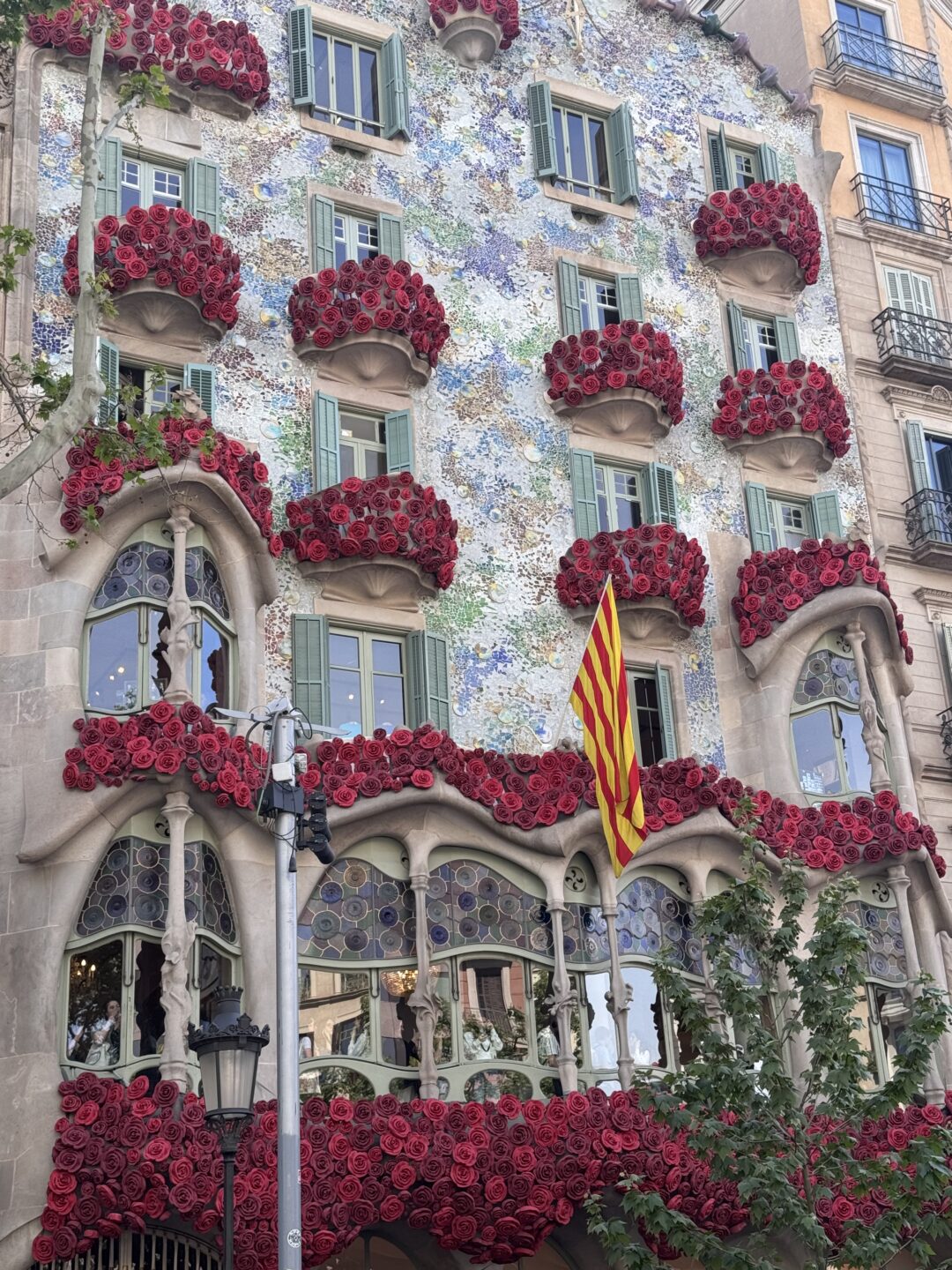 How Spain got my last nerve 22 IMG 2931 House with decorated with flowers