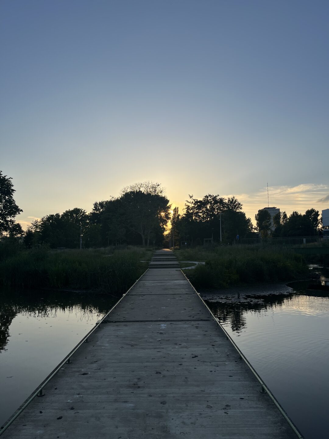 Beitragsbild “The Girl I Met In Belgium”