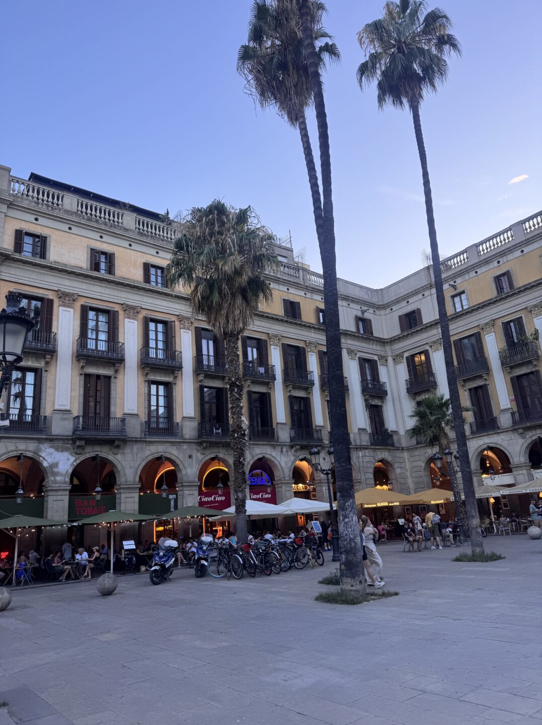 How Spain got my last nerve 18 IMG 5075 Palmtrees in front of a building