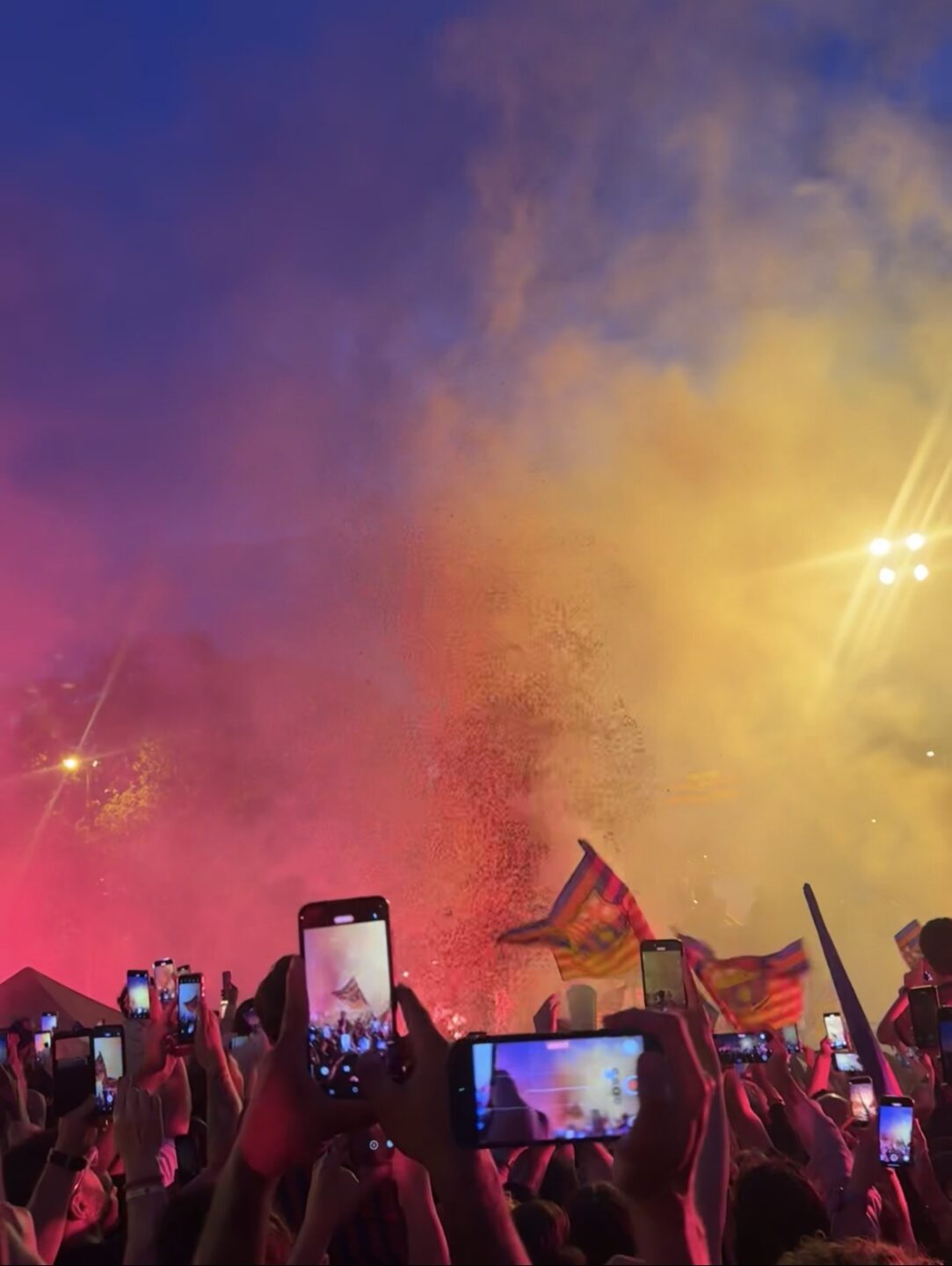 How Spain got my last nerve 15 IMG 8558 celebration for FC Barcelona