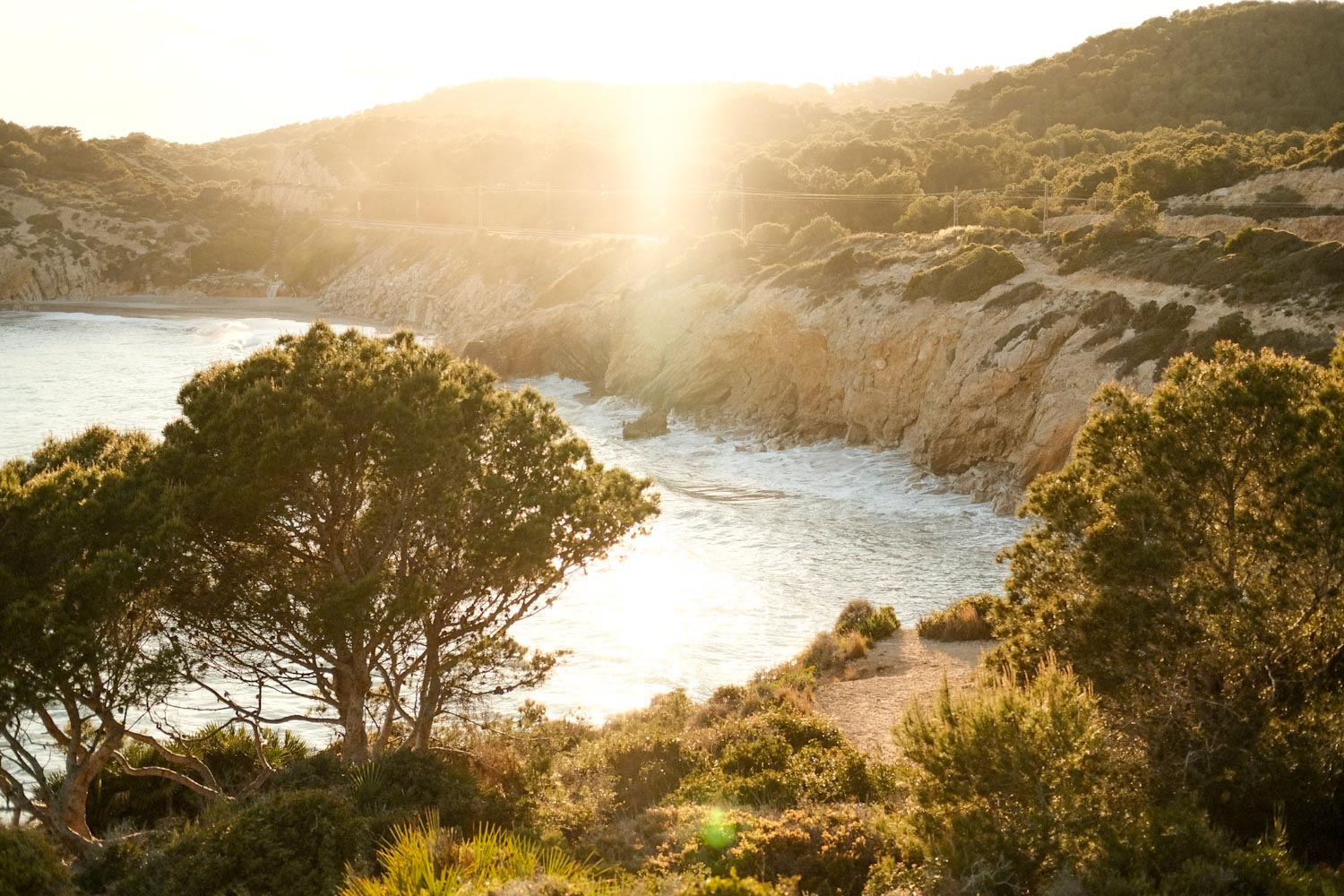 "Living La Vida Loca" in Barcelona 6 IMG 9025 Landscape of a coastal scene with the sea, trees and rocky hills.