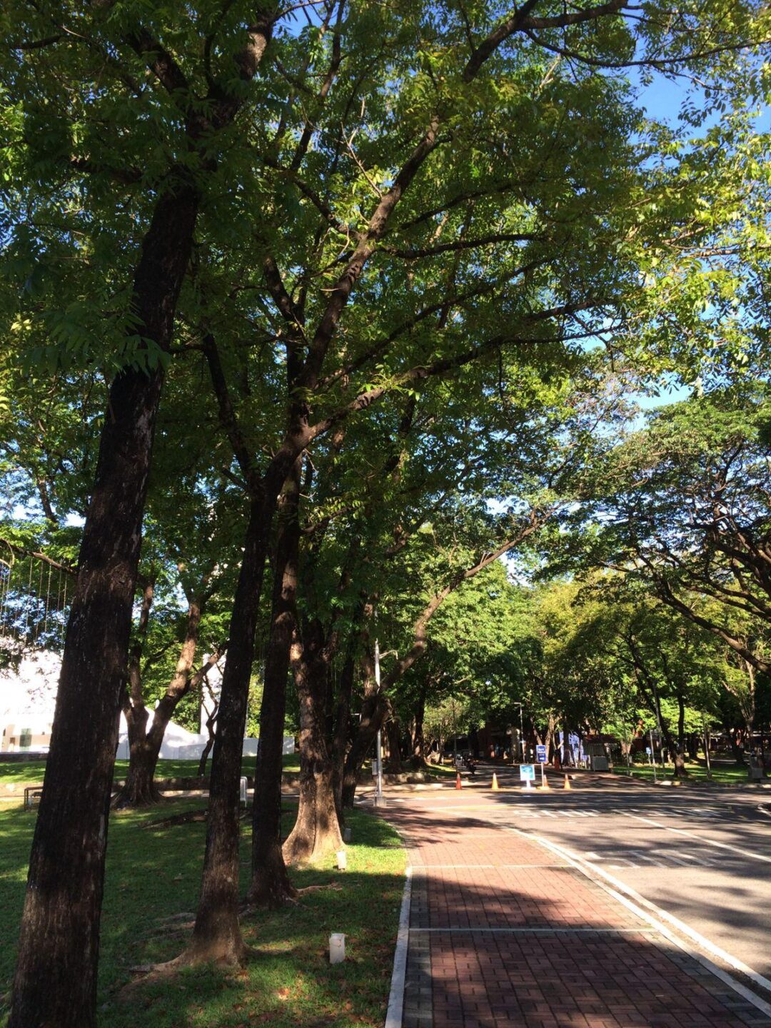 What happens outside the gates 10 WhatsApp Image 2025 12 19 at 16.34.57 Street in University campus